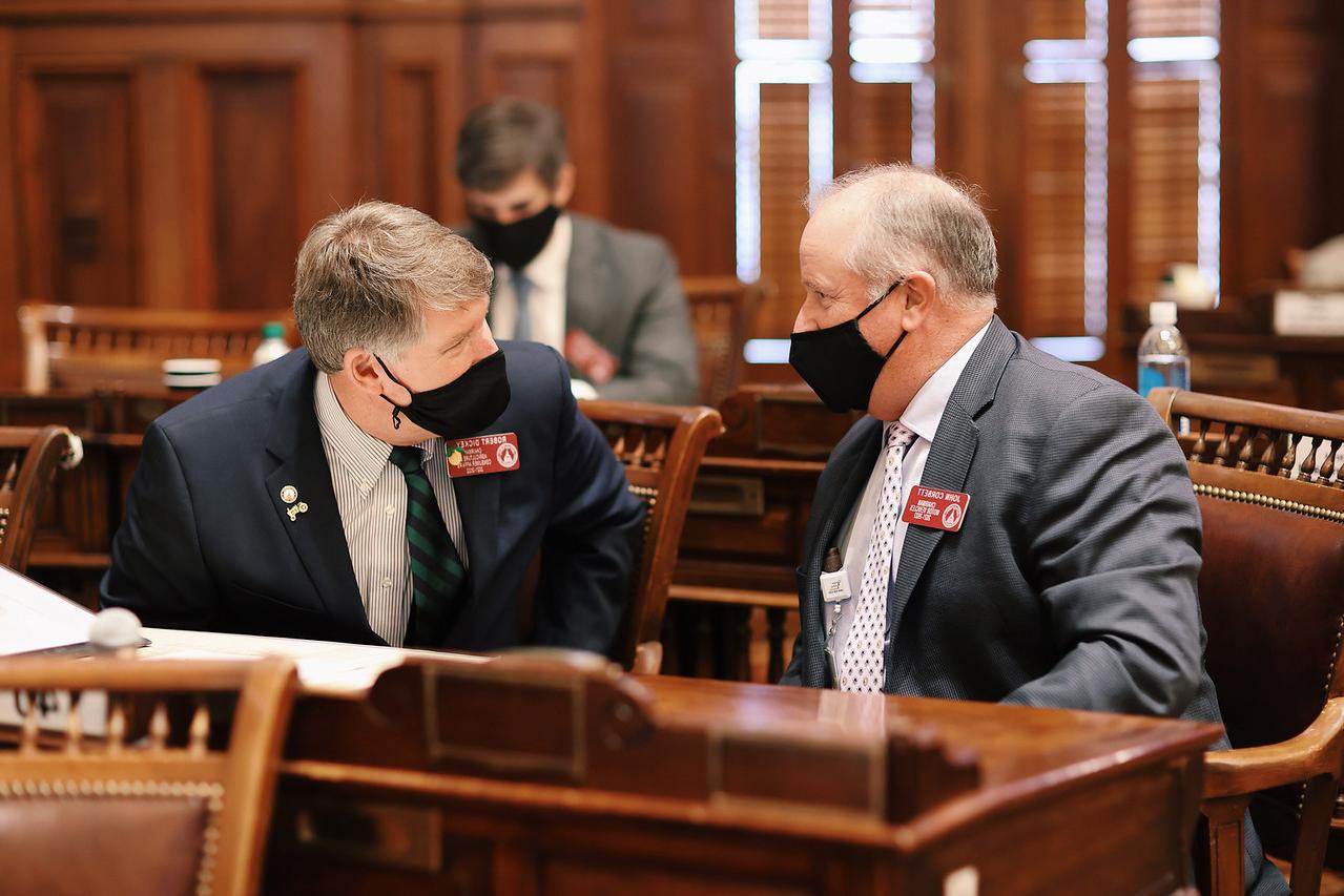 Georgia Congress Photo